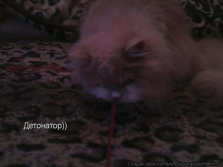 Котоматрица: Детонатор))