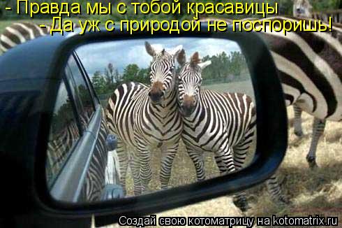 Котоматрица: - Да уж с природой не поспоришь! - Правда мы с тобой красавицы