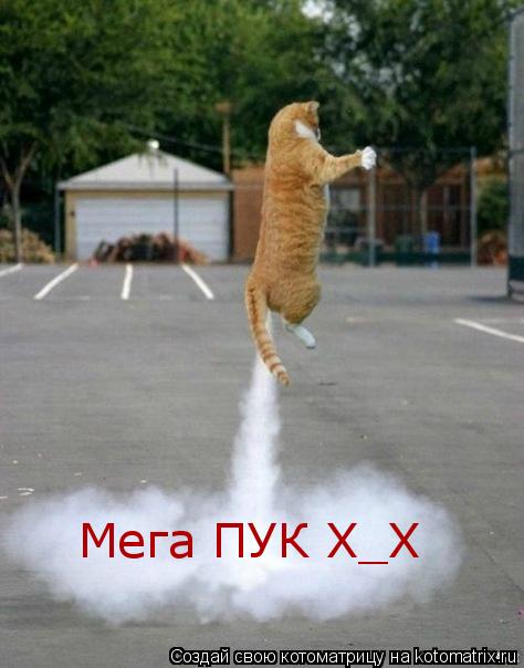 Котоматрица: Мега ПУК Х_Х