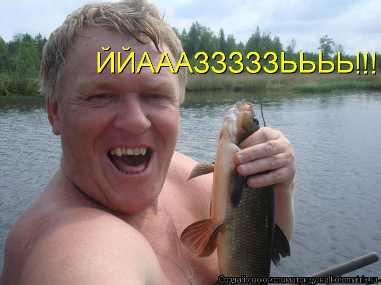 Котоматрица: ЙЙАААЗЗЗЗЗЬЬЬЬ !!!