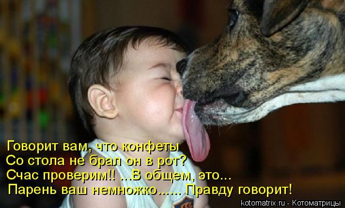Говорит вам, что конфеты Со стола не брал он в рот? Счас проверим!! ...В общем, это... Парень ваш нем... Котоматрица: Говорит вам, что конфеты Со стола не брал он в рот? Счас проверим!! ...В общем, это... Парень ваш немножко...... Правду говорит!
