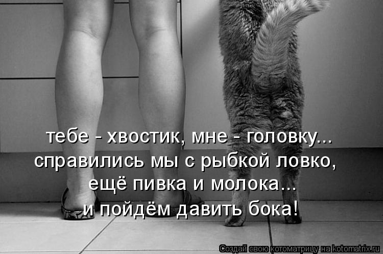 тебе - хвостик, мне - головку... справились мы с рыбкой ловко, ещё пивка и молока... и пойдём давить ... Котоматрица: тебе - хвостик, мне - головку... справились мы с рыбкой ловко, ещё пивка и молока... и пойдём давить бока!