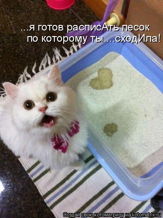 Котоматрица: ...я готов расписАть песок по которому ты ...сходИла!