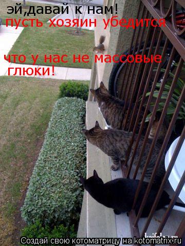 Котоматрица: эй,давай к нам! пусть хозяин убедится что у нас не массовые глюки!