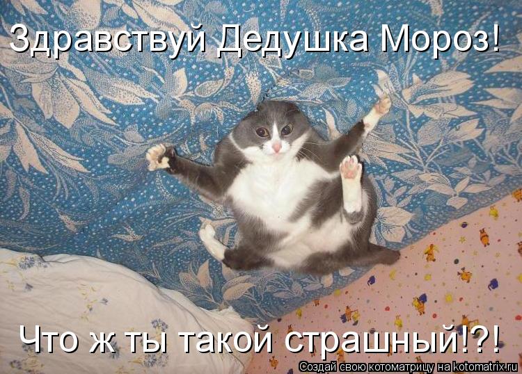 Котоматрица: Здравствуй Дедушка Мороз! Что ж ты такой страшный!?!