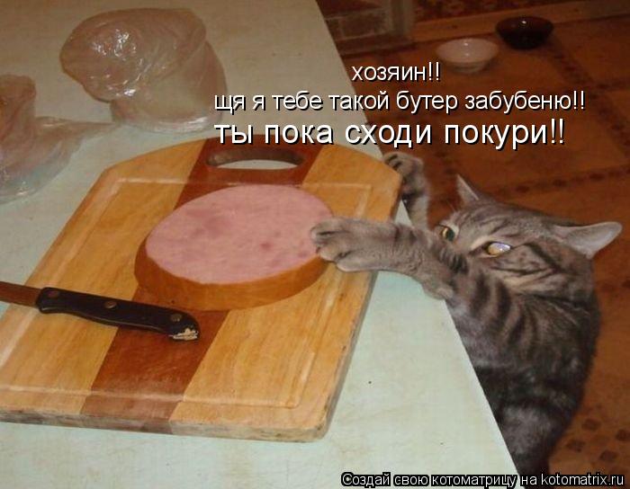Котоматрица: хозяин!! щя я тебе такой бутер забубеню!! ты пока сходи покури!!
