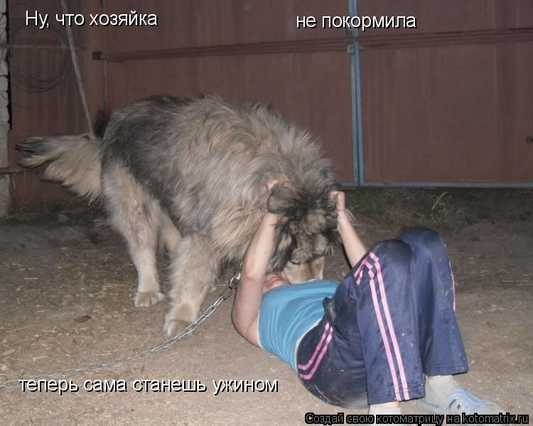 Котоматрица: Ну, что хозяйка не покормила теперь сама станешь ужином