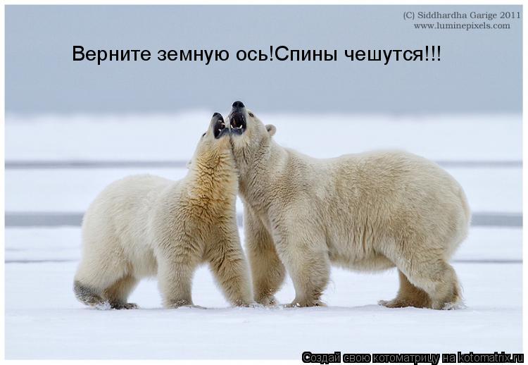 Верните земную ось!Спины чешутся!!!... Котоматрица: Верните земную ось!Спины чешутся!!!
