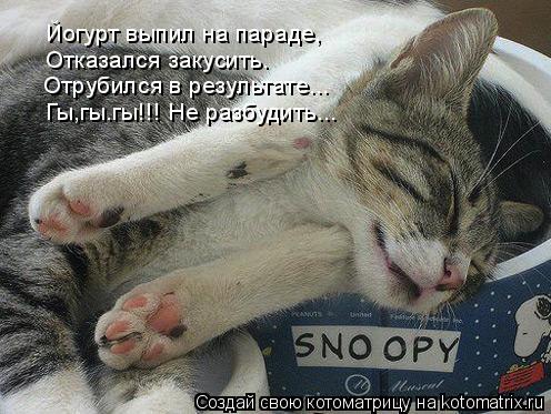 Котоматрица: Йогурт выпил на параде, Отказался закусить. Отрубился в результате... Гы,гы.гы!!! Не разбудить...