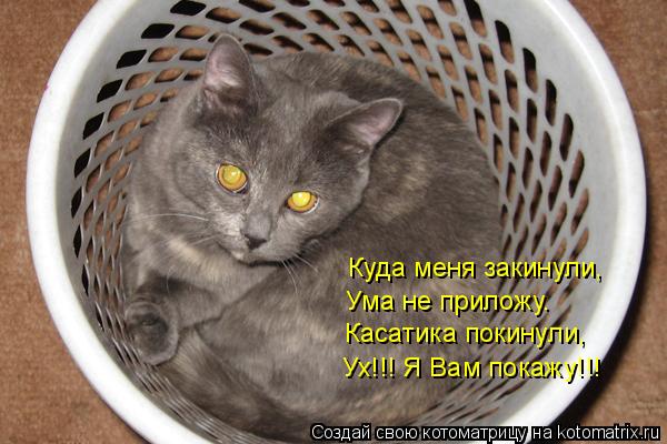 Котоматрица: Куда меня закинули, Ума не приложу. Касатика покинули, Ух!!! Я Вам покажу!!!