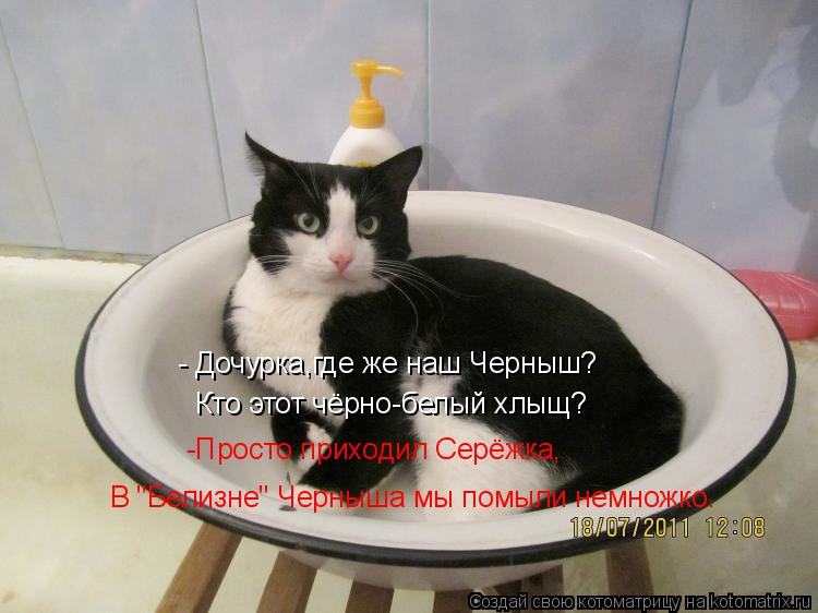 Котоматрица: - Дочурка,где же наш Черныш? Кто этот чёрно-белый хлыщ? -Просто приходил Серёжка, В "Белизне" Черныша мы помыли немножко.