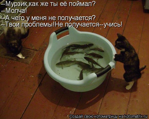 Котоматрица: --Мурзик,как же ты её поймал? --Молча! --А чего у меня не получается? --А чего у меня не получается? --Твои проблемы!Не получается--учись!