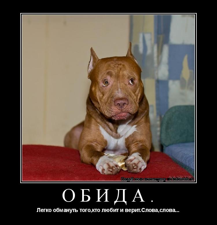 Котоматрица: обида. Легко обмануть того,кто любит и верит.Слова,cлова...