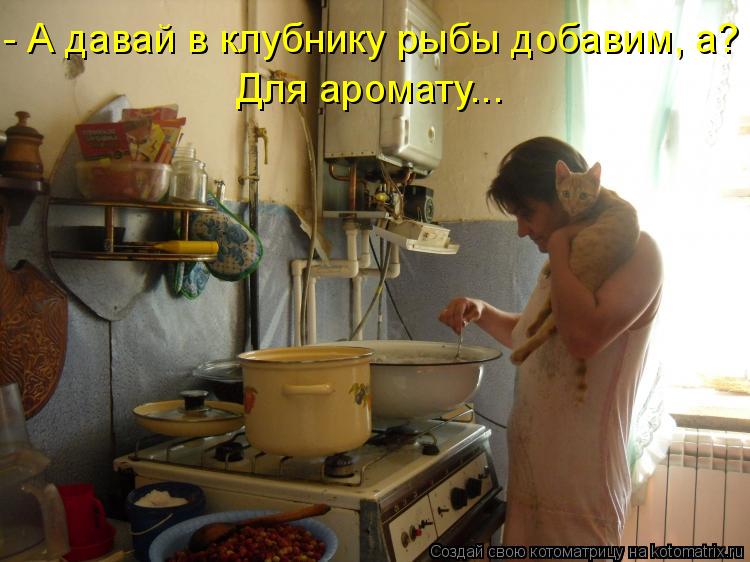 - А давай в клубнику рыбы добавим, а? Для аромату...... Котоматрица: - А давай в клубнику рыбы добавим, а? Для аромату...