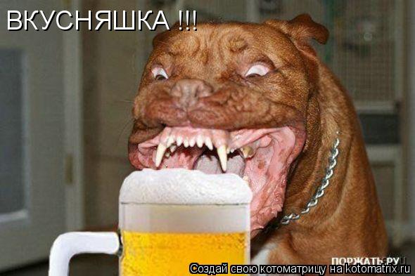 Котоматрица: ВКУСНЯШКА !!! ВКУСНЯШКА !!!