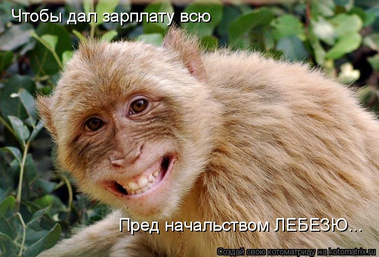 Котоматрица: Чтобы дал зарплату всю Пред начальством ЛЕБЕЗЮ...