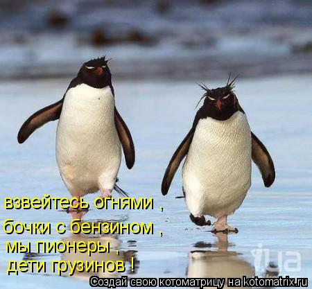 Котоматрица: взвейтесь огнями , бочки с бензином , мы пионеры , дети грузинов !