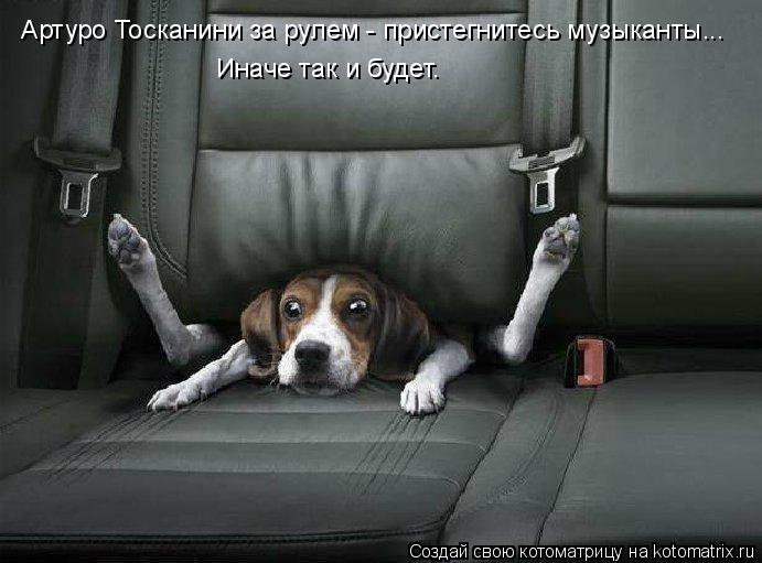 Котоматрица: Артуро Тосканини за рулем - пристегнитесь музыканты... Иначе так и будет.