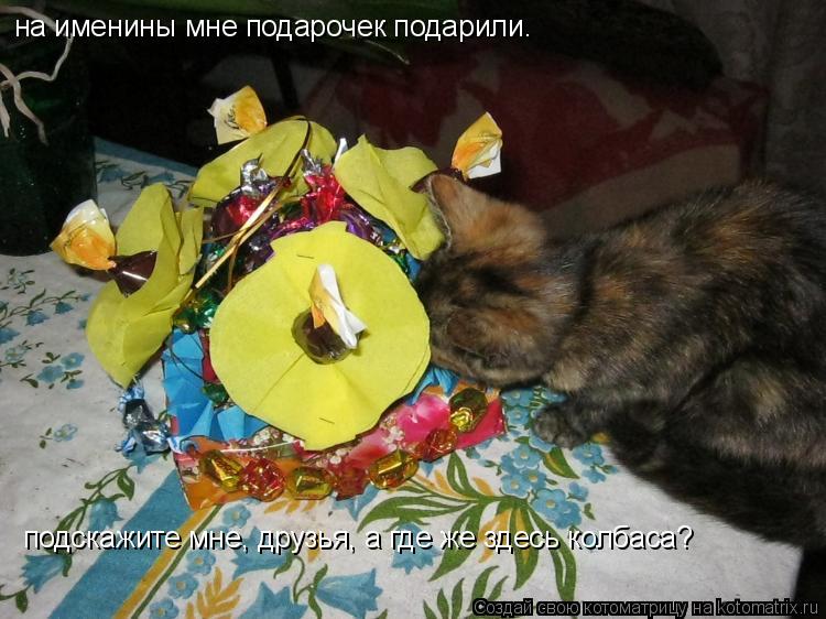 Котоматрица: на именины мне подарочек подарили.  подскажите мне, друзья, а где же здесь колбаса?