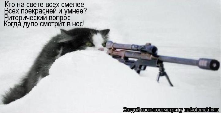 Котоматрица: Кто на свете всех смелее Всех прекрасней и умнее? Риторический вопрос Когда дуло смотрит в нос!