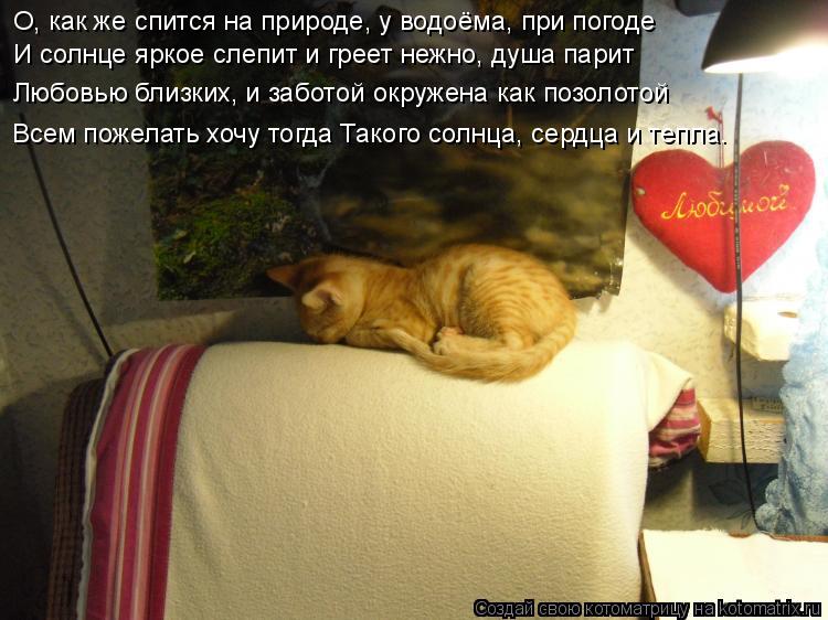 Котоматрица: О, как же спится на природе, у водоёма, при погоде И солнце яркое слепит и греет нежно, душа парит Любовью близких, и заботой окружена как поз
