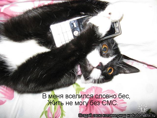 Котоматрица: В меня вселился словно бес, Жить не могу без СМС.