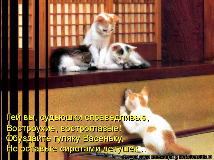 Гей вы, судьюшки справедливые, Востроухие, востроглазые! Обуздайте гуляку Васеньку, Не оставьте сирот... Котоматрица: Гей вы, судьюшки справедливые, Востроухие, востроглазые! Обуздайте гуляку Васеньку, Не оставьте сиротами детушек...