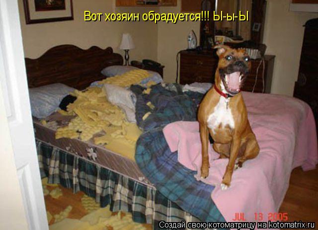 Котоматрица: Вот хозяин обрадуется!!! Ы-ы-Ы