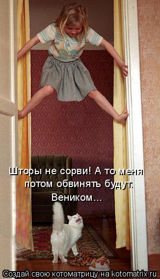 Шторы не сорви! А то меня потом обвинять будут. Веником...... Котоматрица: Шторы не сорви! А то меня потом обвинять будут. Веником...