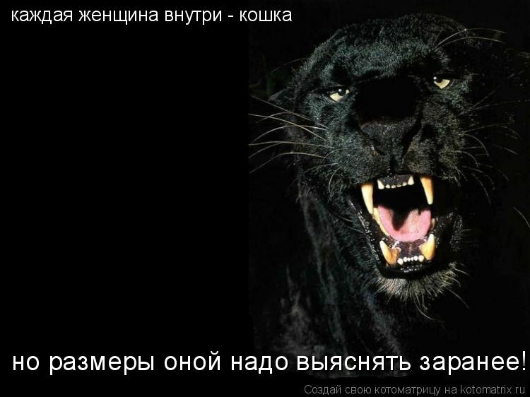 Котоматрица: каждая женщина внутри - кошка но размеры оной надо выяснять заранее!