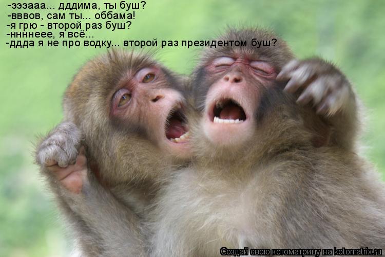 Котоматрица: -эээааа... дддима, ты буш? -вввов, сам ты... оббама! -я грю - второй раз буш? -ннннеее, я всё... -ддда я не про водку... второй раз президентом буш?