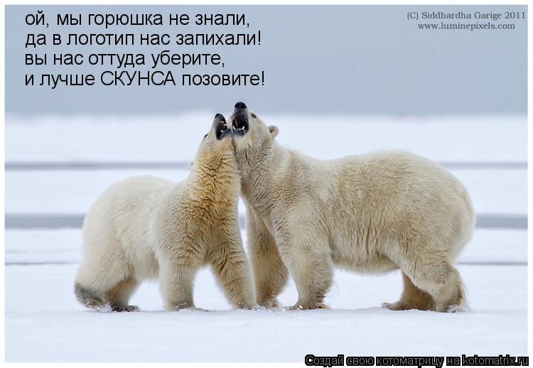 Котоматрица: ой, мы горюшка не знали,  да в логотип нас запихали! вы нас оттуда уберите,  и лучше СКУНСА позовите!