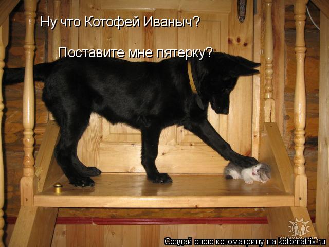 Котоматрица: Ну что Котофей Иваныч? Поставите мне пятерку?
