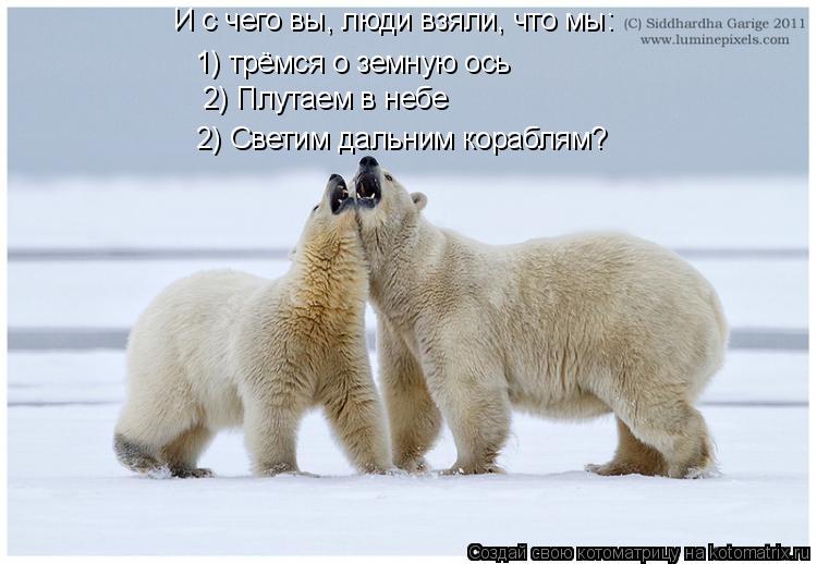 Котоматрица: И с чего вы, люди взяли, что мы: 1) трёмся о земную ось 2) Плутаем в небе 2) Светим дальним кораблям?