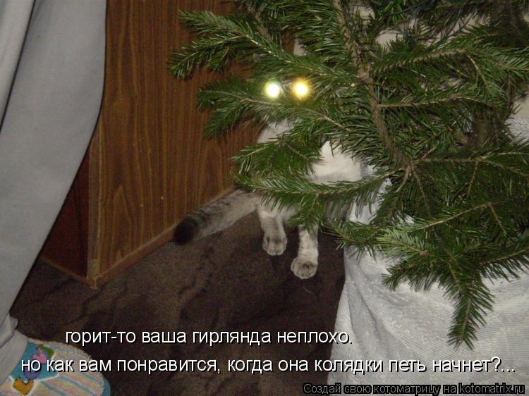 Котоматрица: горит-то ваша гирлянда неплохо. но как вам понравится, когда она колядки петь начнет?...