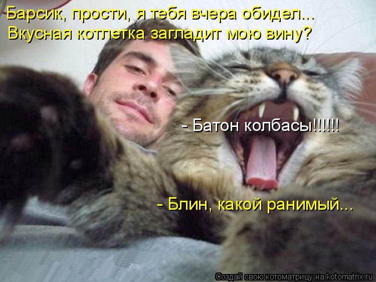 Котоматрица: Барсик, прости, я тебя вчера обидел... Вкусная котлетка загладит мою вину? - Батон колбасы!!!!!! - Блин, какой ранимый...