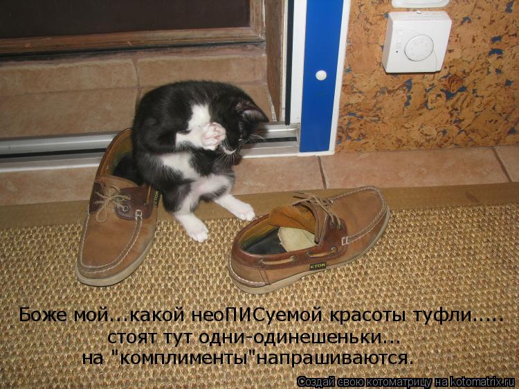 Котоматрица: Боже мой...какой неоПИСуемой красоты туфли..... стоят тут одни-одинешеньки... на "комплименты"напрашиваются.