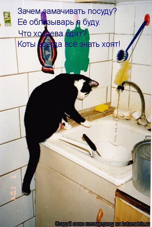 Зачем замачивать посуду? Её облизыварь я буду. Что хозяева едят? Коты всегда всё знать хоят!... Котоматрица: Зачем замачивать посуду? Её облизыварь я буду. Что хозяева едят? Коты всегда всё знать хоят!