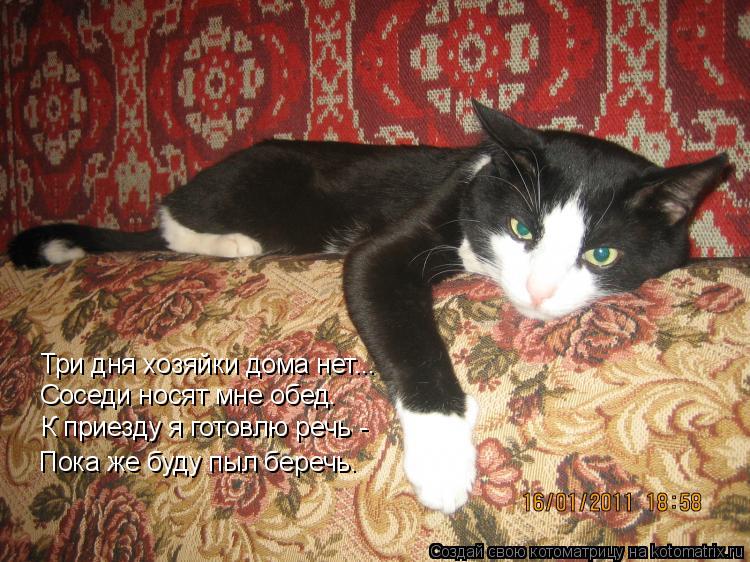 Три дня хозяйки дома нет... Соседи носят мне обед. К приезду я готовлю речь - Пока же буду пыл беречь... Котоматрица: Три дня хозяйки дома нет... Соседи носят мне обед. К приезду я готовлю речь - Пока же буду пыл беречь.