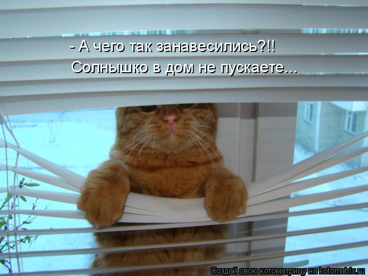 - А чего так занавесились?!! Солнышко в дом не пускаете...... Котоматрица: - А чего так занавесились?!! Солнышко в дом не пускаете...
