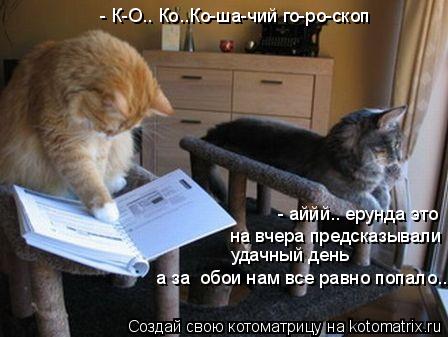 - К-О.. Ко..Ко-ша-чий го-ро-скоп - аййй.. ерунда это на вчера предсказывали удачный день а за обои... Котоматрица: - К-О.. Ко..Ко-ша-чий го-ро-скоп - аййй.. ерунда это на вчера предсказывали удачный день а за обои нам все равно попало..
