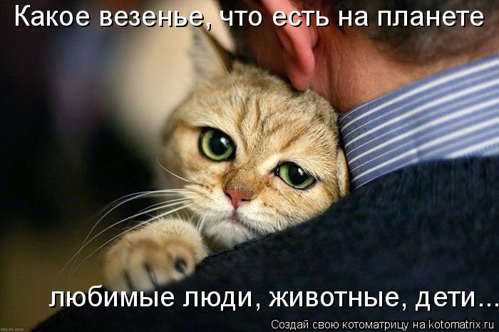Какое везенье, что есть на планете любимые люди, животные, дети...... Котоматрица: Какое везенье, что есть на планете любимые люди, животные, дети...