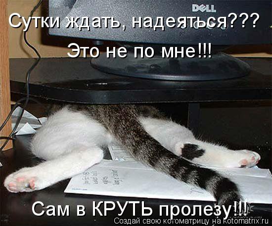 Сутки ждать, надеяться??? Это не по мне!!! Сам в КРУТЬ пролезу!!!... Котоматрица: Сутки ждать, надеяться??? Это не по мне!!! Сам в КРУТЬ пролезу!!!