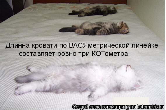 Длинна кровати по ВАСЯметрической линейке составляет ровно три КОТометра.... Котоматрица: Длинна кровати по ВАСЯметрической линейке составляет ровно три КОТометра.