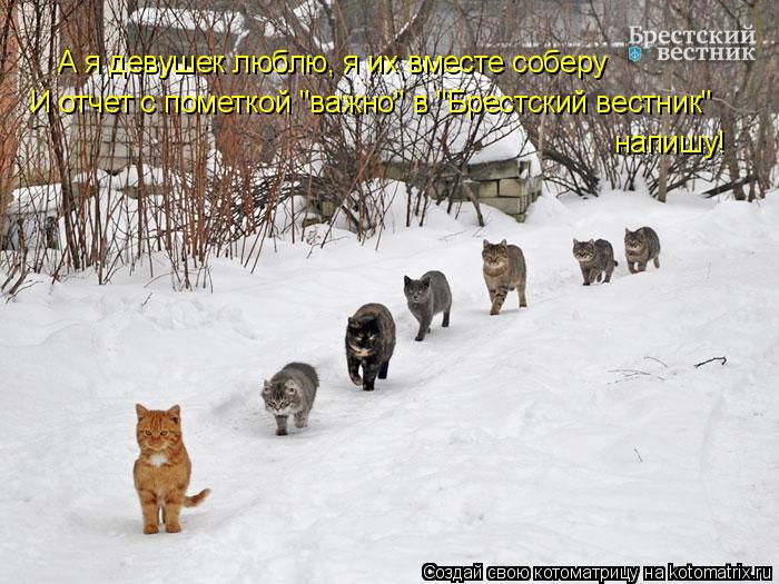 А я девушек люблю, я их вместе соберу И отчет с пометкой "важно" в "Брестский вестник" напишу!... Котоматрица: А я девушек люблю, я их вместе соберу И отчет с пометкой "важно" в "Брестский вестник" напишу!