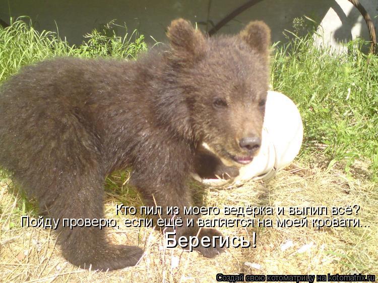 Кто пил из моего ведёрка и выпил всё? Пойду проверю, если ещё и валяется на моей кровати... Берегись!... Котоматрица: Кто пил из моего ведёрка и выпил всё? Пойду проверю, если ещё и валяется на моей кровати... Берегись!