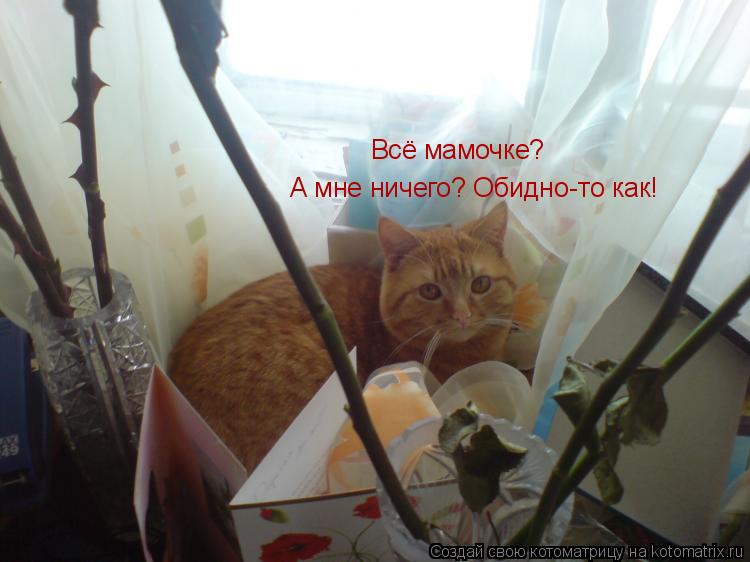 А мне ничего? Обидно-то как! Всё мамочке?... Котоматрица: А мне ничего? Обидно-то как! Всё мамочке?