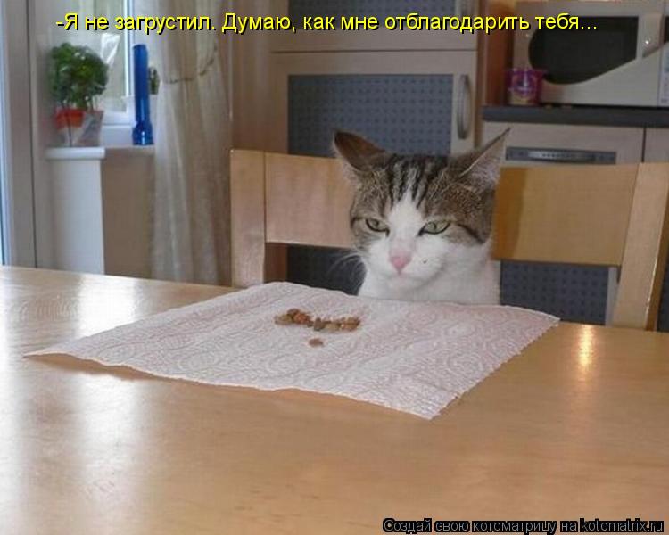 -Я не загрустил. Думаю, как мне отблагодарить тебя...... Котоматрица: -Я не загрустил. Думаю, как мне отблагодарить тебя...