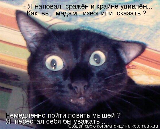 - Я наповал сражён и крайне удивлён... Как вы, мадам, изволили сказать ? Я перестал себя бы ув... Котоматрица: - Я наповал сражён и крайне удивлён... Как вы, мадам, изволили сказать ? Я перестал себя бы уважать .... Немедленно пойти ловить мышей ?