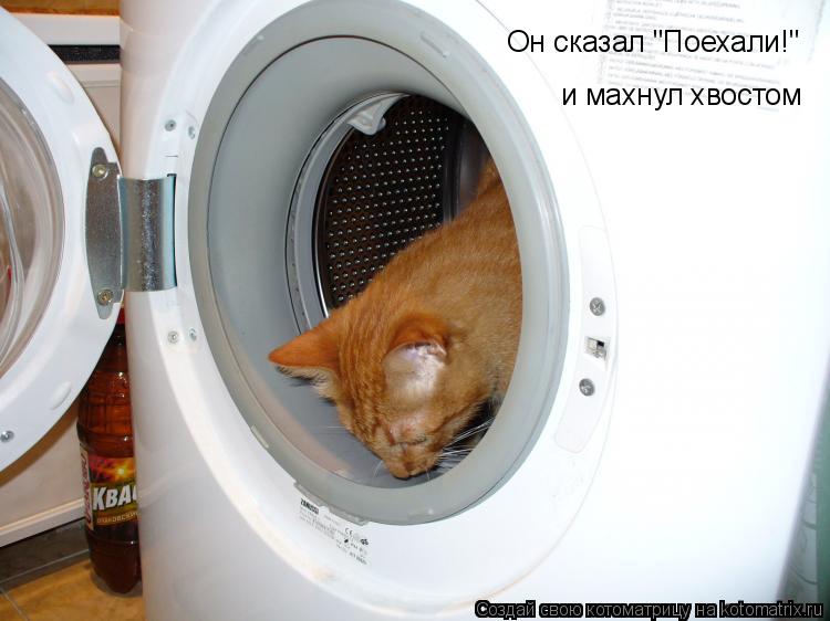 Он сказал "Поехали!" и махнул хвостом... Котоматрица: Он сказал "Поехали!" и махнул хвостом